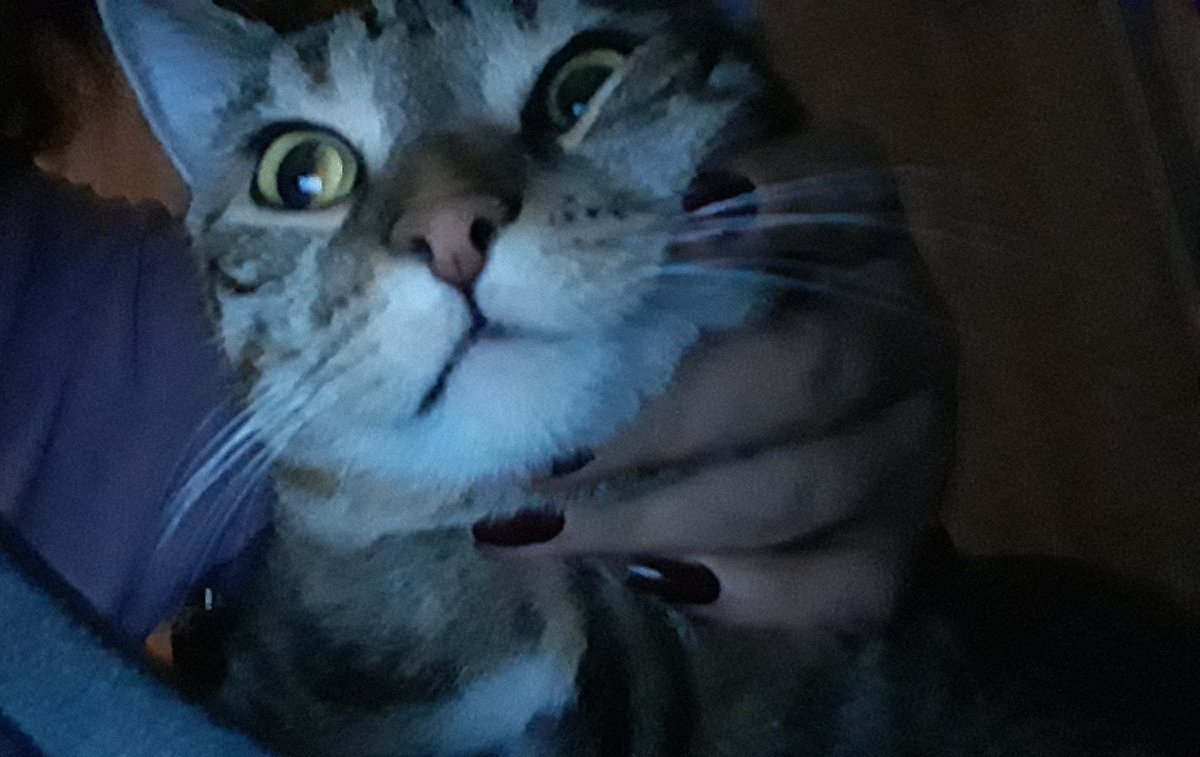 görmek istemiorum işte kadın çek elini