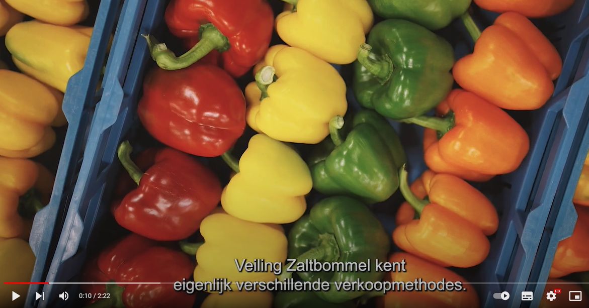 Veiling Zaltbommel is al meer dan 100 jaar de spil tussen telers en kopers in de AGF. In deze video legt Rens Muskens uit waarom I-Fresh van Axians NL onmisbaar is in de bedrijfsvoering.

Bekijk de video &gt; hubs.la/H0XVQzC0