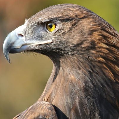 _jojololo's tweet photo. #NewProfilePic https://t.co/Z35eI1Fl49