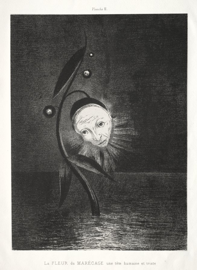 Odilon Redon, Homage to Goya: The Marsh Flower and a Human and Sad Head, 1885 https://t.co/MAxyDQAn2h #cmaprints #cmaopenaccess https://t.co/vSDn1dEnbb