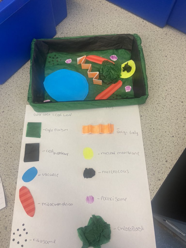 Wath_Science's tweet photo. World class homework by 7T3! Students have gone above and beyond creating 3D models of cells 🌟🌟🌟 #worldclasslearning #modelcells @WathAcademy https://t.co/it4fKqtZ5K