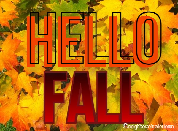 Neighbors of Watertown tweet media