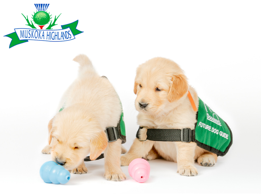 LFCDogGuides's tweet photo. #UnleashingKindness- We would like to thank @muskokahighland for hosting their Par 3 Shootout, with funds going to LFC Dog Guides. Thank you for your continued support. Your contribution will help future Dog Guides grow up, graduate from our programs and change lives. https://t.co/6W7FWtiswd