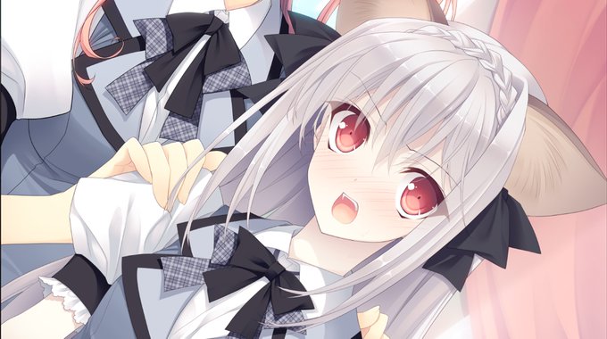 みにきゃら ルナ様専用ページ Www Vetrepro Fr