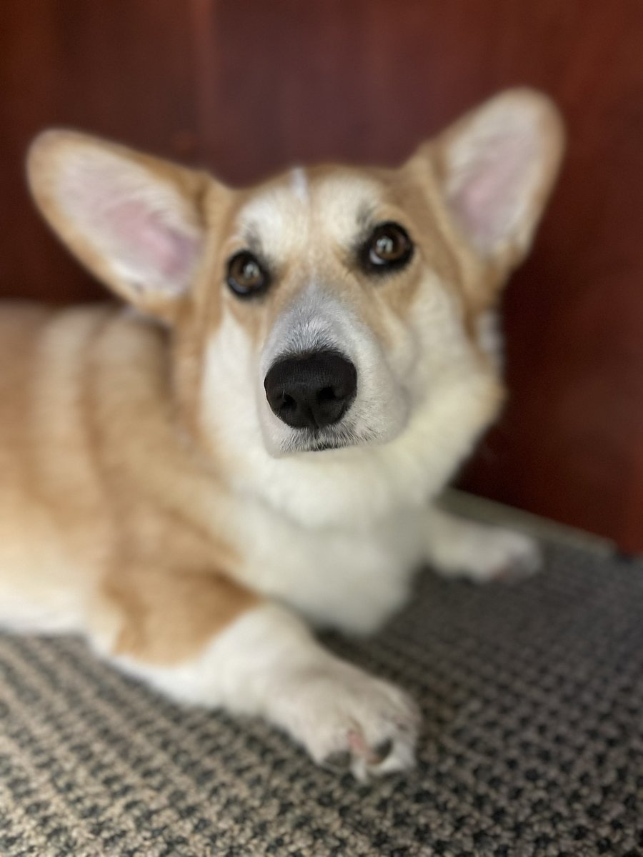 Noelle Ellerson Ng tweet media