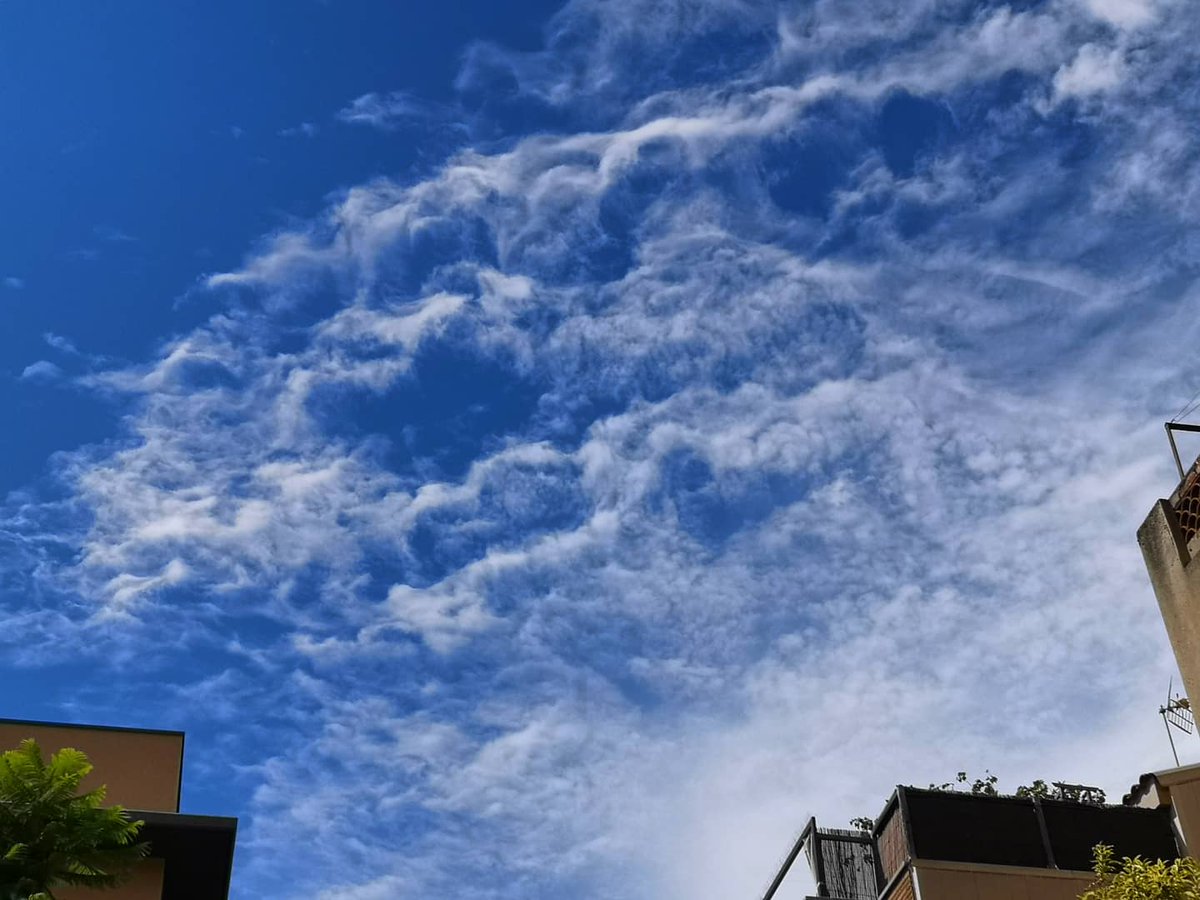 meteoecovisual's tweet photo. #Cirrocúmulos #lacunosus desde #L'Hospitalet y #altocumulos estratiformis desde #SantBoi
#meteocat
#meteofoto #meteofotos
#Cielos #nube #nubes #meteo #meteorología #weather #clouds #cloudchaser #cloudy #loverclouds #cloudyskay #sky #sky_lovers #cloudlover #cloudobsession https://t.co/3F4QM7opQQ