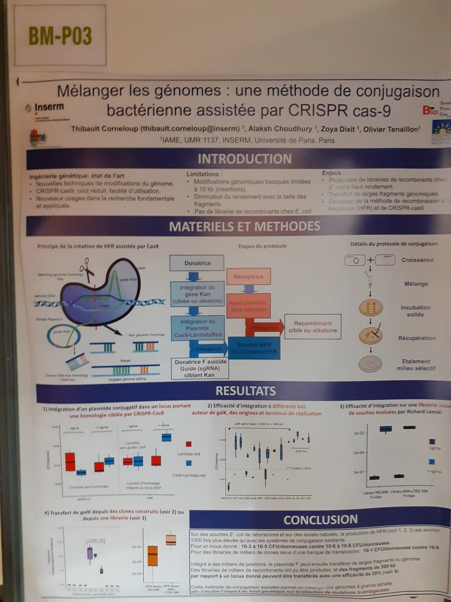 ThCorneloup's tweet photo. #Microbes2021 Come to my poster in BM-P03 #CRISPR
Talk session on friday 10h #conjugation #bacterialgenetics https://t.co/pk6sN0LgA4