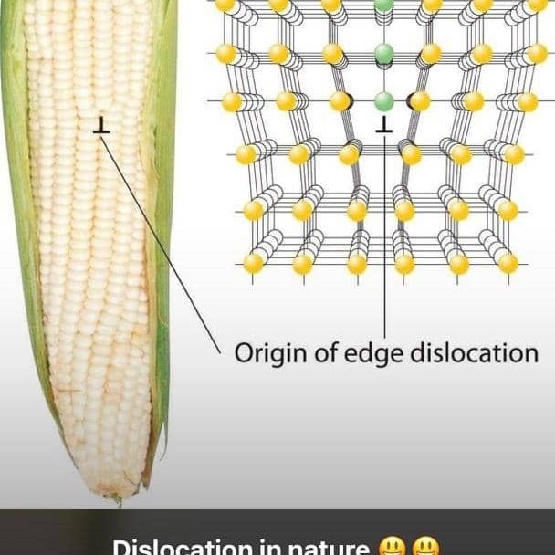 all these make sense?