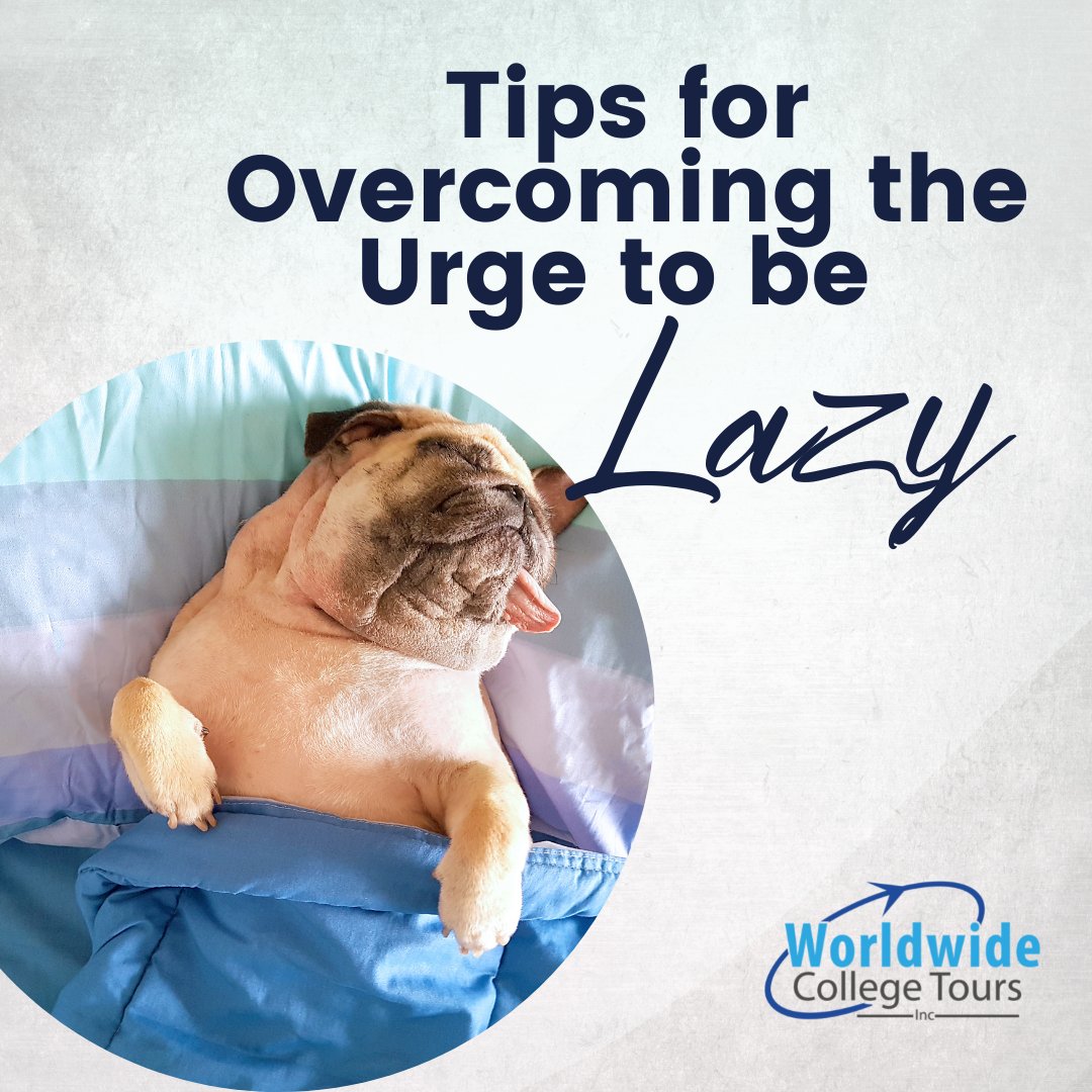 ExploreWWCT's tweet image. 3 tips to overcome the urge to be lazy when studying: 
1) create a to-do list
2) put your phone away
3) reward yourself because you are doing great!

#studentlife #studentips #studying