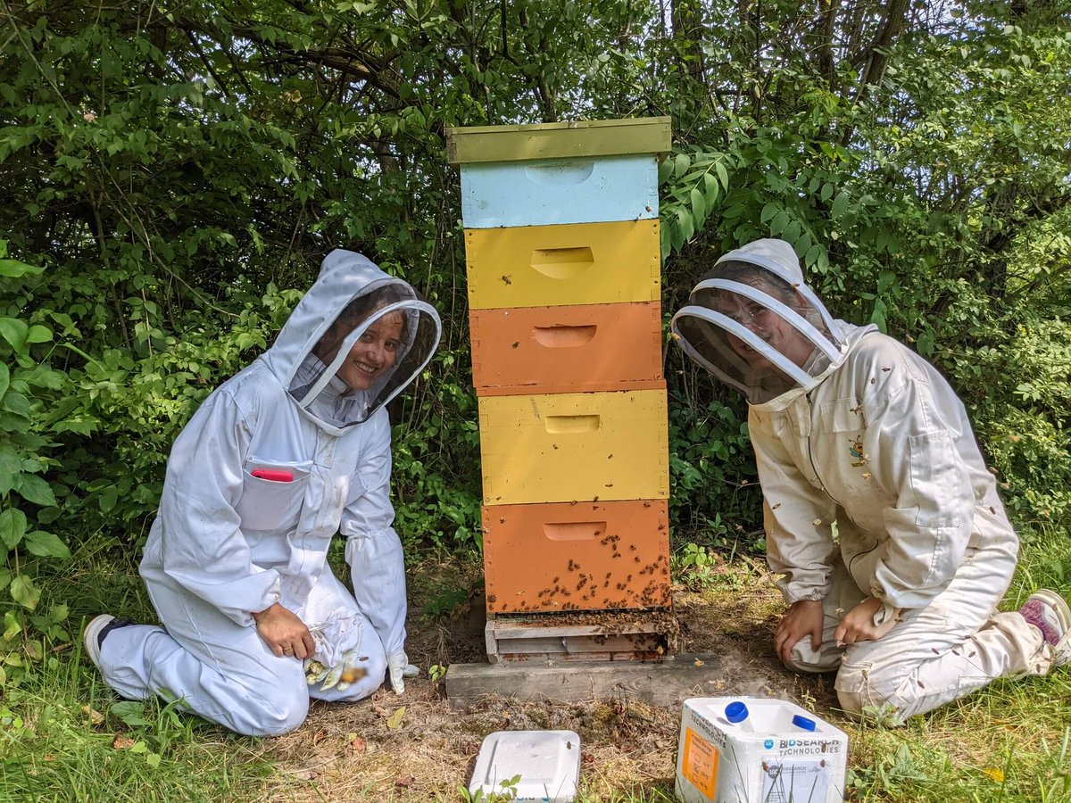 Moreno hopes to use the skills and knowledge gained at #Purdue to start her own honey production company in Colombia that employs women. She also wants to cultivate hives and rent them out to farms for pollination services. #HispanicHeritageMonth #SomosPurdue 2/2