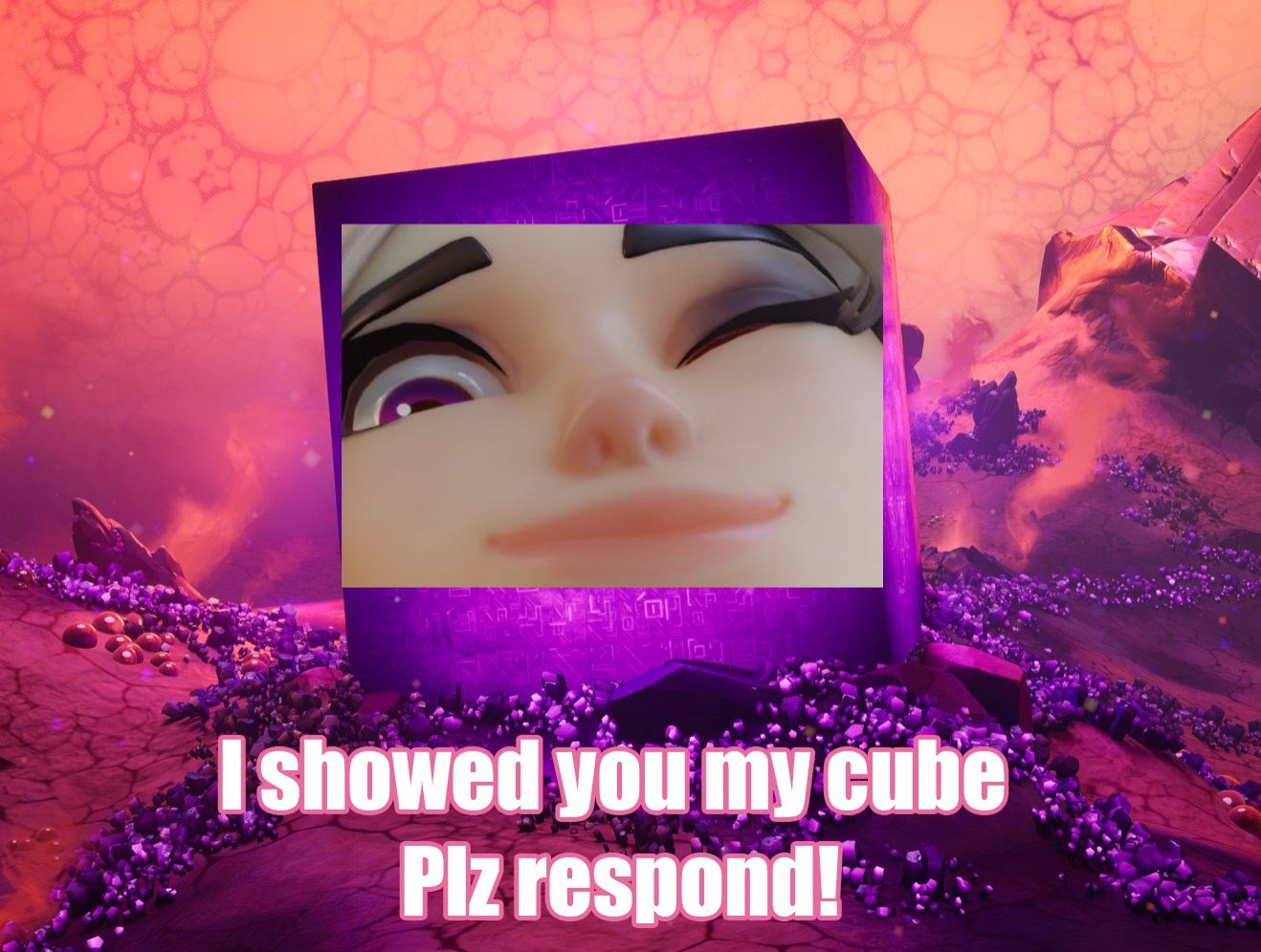 iFireMonkey on Twitter "The official Fortnite Discord just 'd