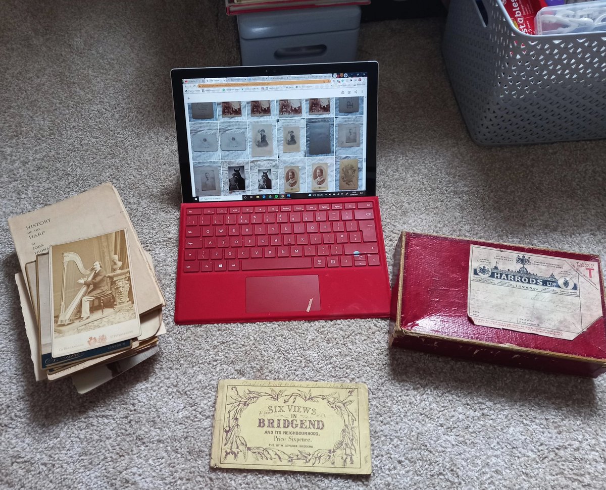 Louvain Rees ⚰️ tweet media