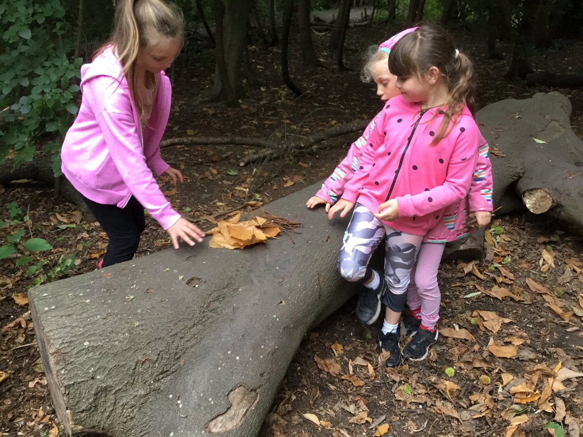 BalgreenPrimary's tweet photo. #primary3a were enjoying looking round the woods and finding signs of Autumn. https://t.co/PDm3Y7gvyg