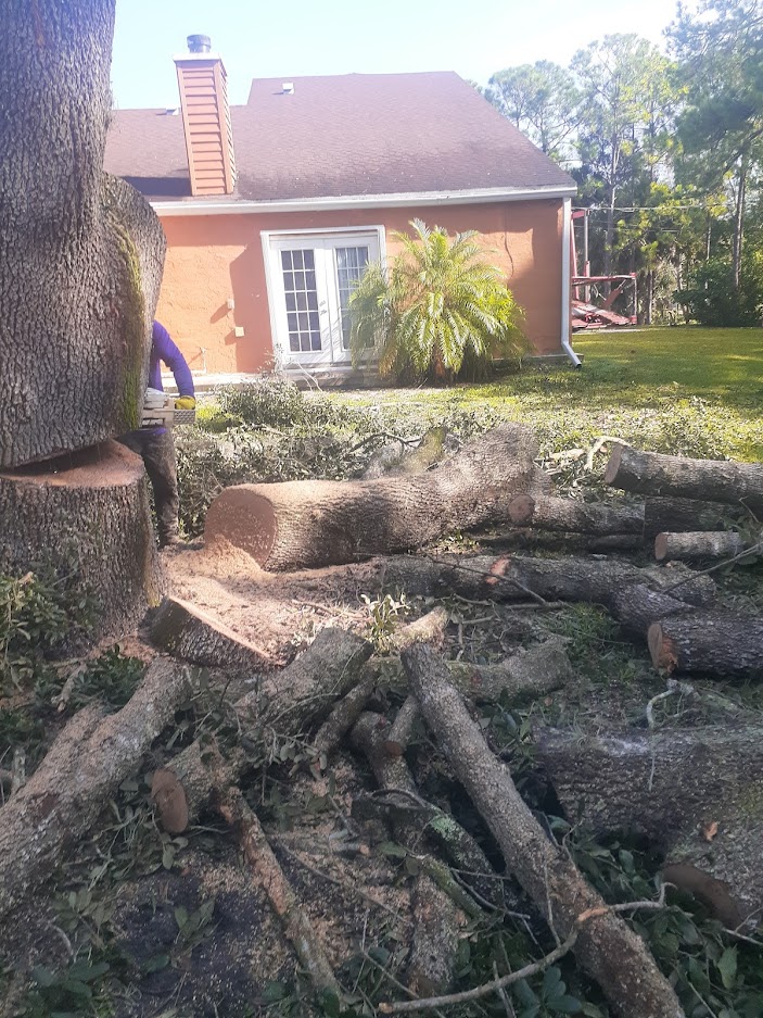 savemoretreesrv's tweet photo. Tree Removal today in Loxahatchee. How can we help you with your tree removal and trimming needs? 🌳 Contact us today! 561-513-7883
https://t.co/R6pvY1ywgM
#treeservice #arborlife #homeimprovement #curbappeal #stormprep https://t.co/DV04nfO3Dv