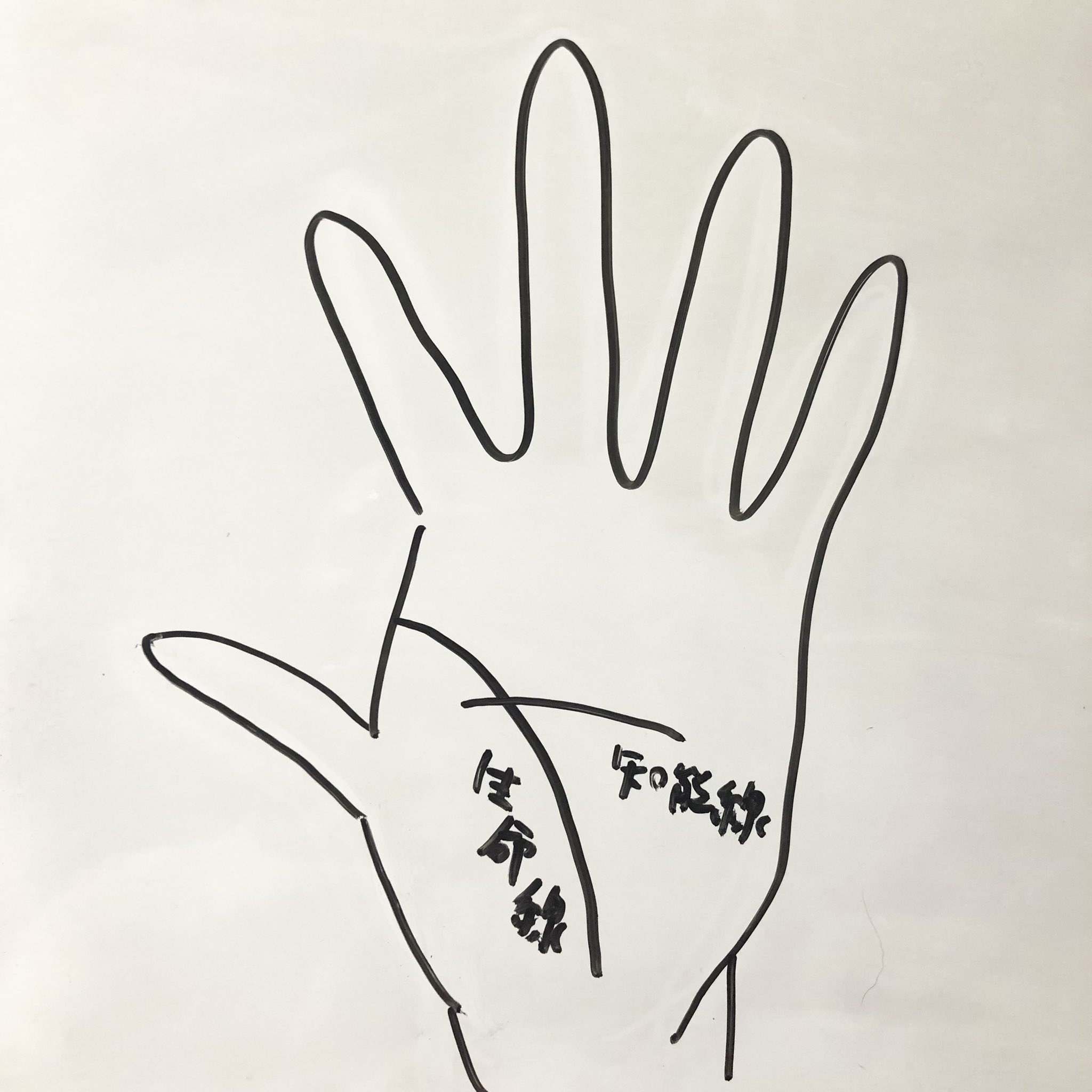 ちか 手相占星術セラピスト 癒魔女 Cika Rusuian Twitter