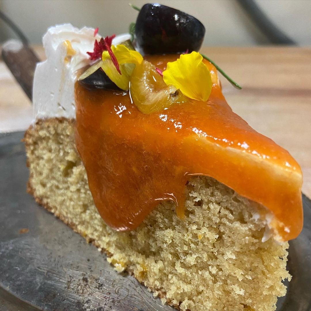 Milo and Olive tweet media