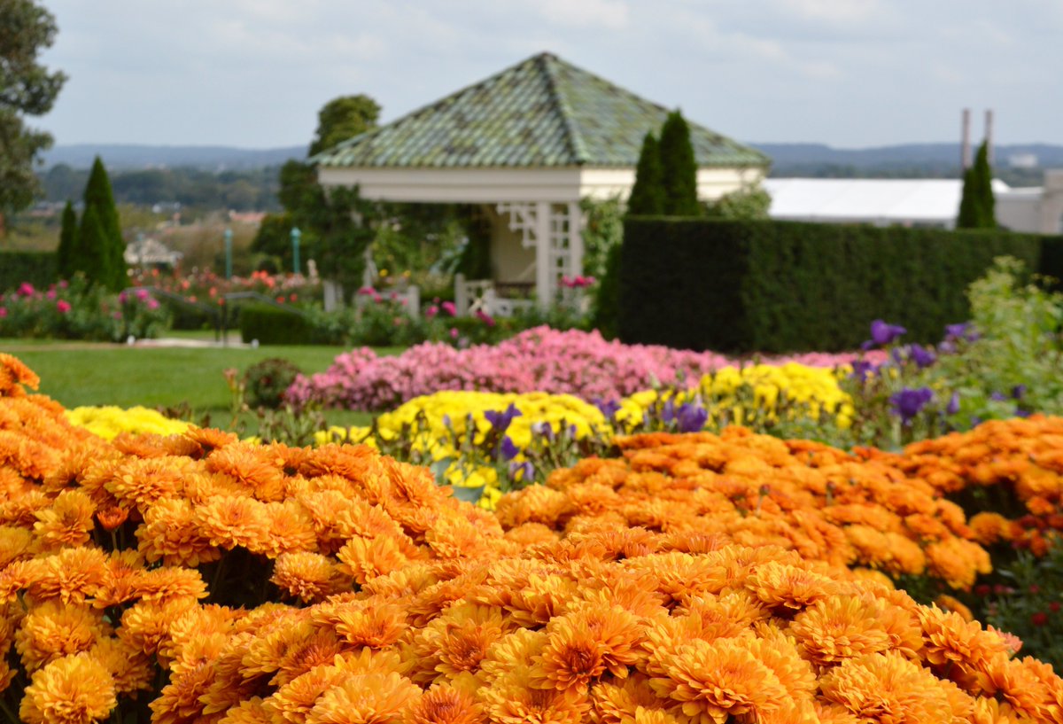 hersheygardens's tweet image. "Winter is an etching, spring a watercolor, summer an oil painting and autumn a mosaic of them all."   
 - Stanley Horowitz #autumn2021 #fall21 #fallequinox #autumn #firstdayofautum #FirstDayofFall #firstdayoffall2021 #HersheyPA #hersheygardens
