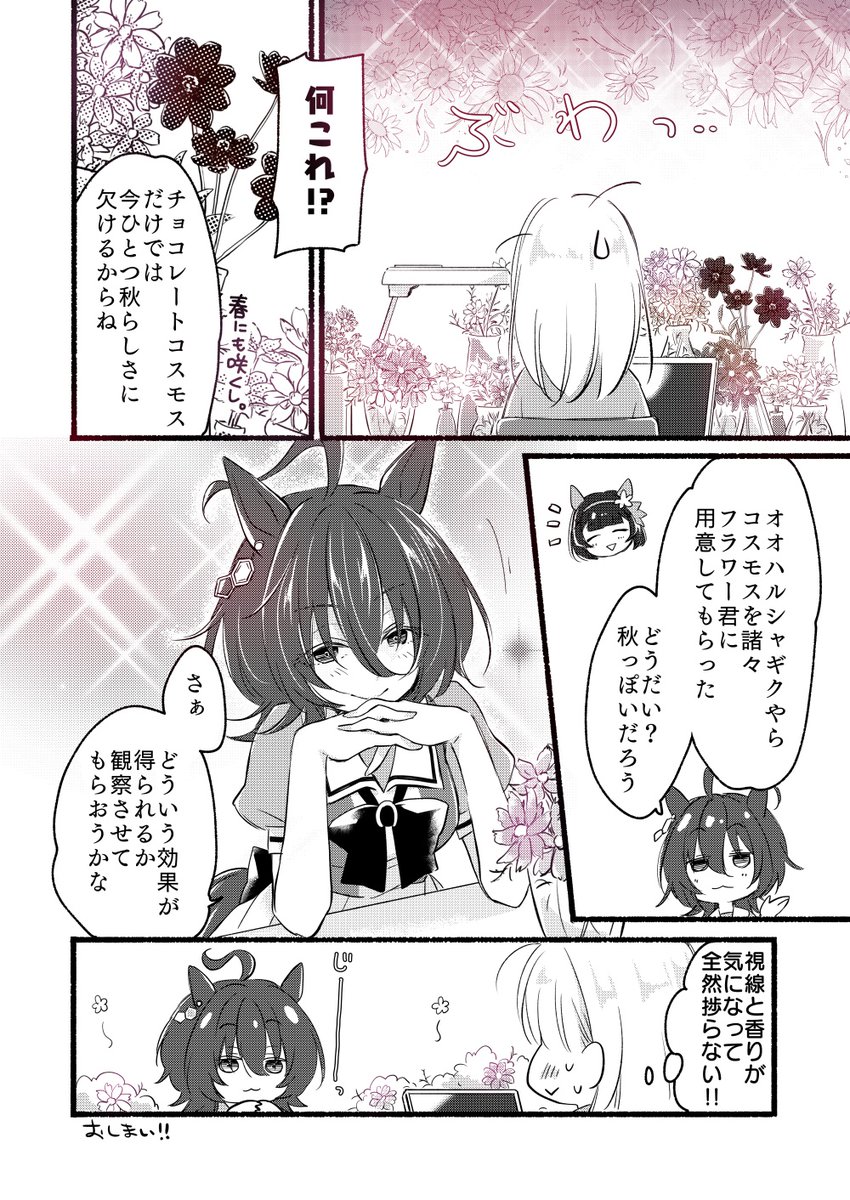 #タキモル交換会 
タキオンと女トレちゃん。あんまり秋っぽくないですが、テーマは「コスモス」です。 