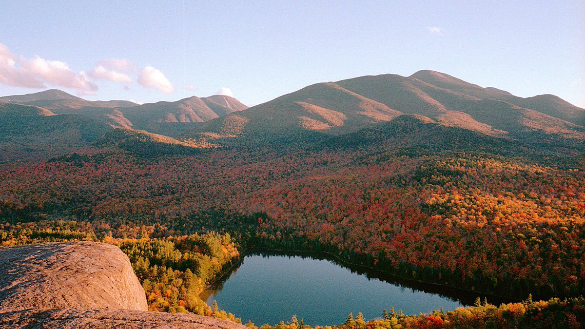 nev_in_color's tweet photo. fall on film 🎞 https://t.co/eUBqpJN0jf