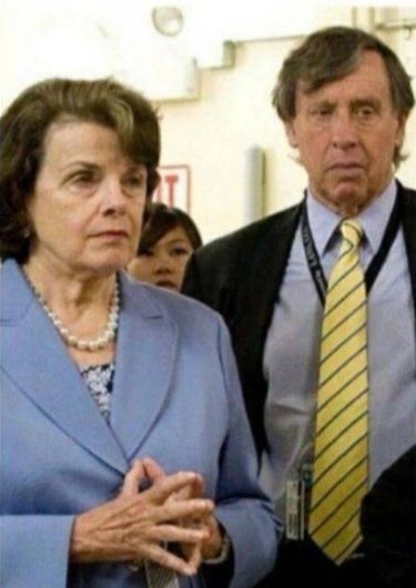 The Dominion Voting machine software patent is owned by Avid Technologies. Richard C Blum, the husband of Dianne Feinstein, owns 60% of Avid Technologies. 🤔