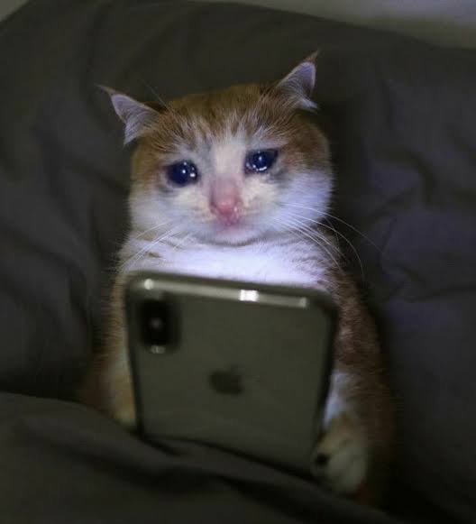 "Telefonun başında çaresiz bekliyorum" şarkısını bu kadar yürekten dinlememiştik.

#bitcoin