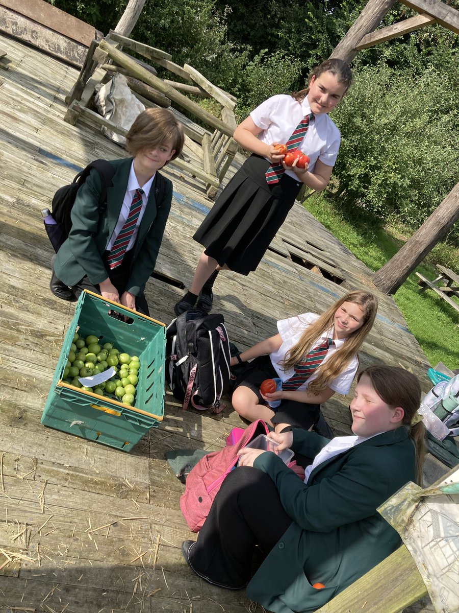 Our fantastic student and community volunteers mid-harvest! Looking forward to chutney 🍅🍏🧅😋☀️🌈