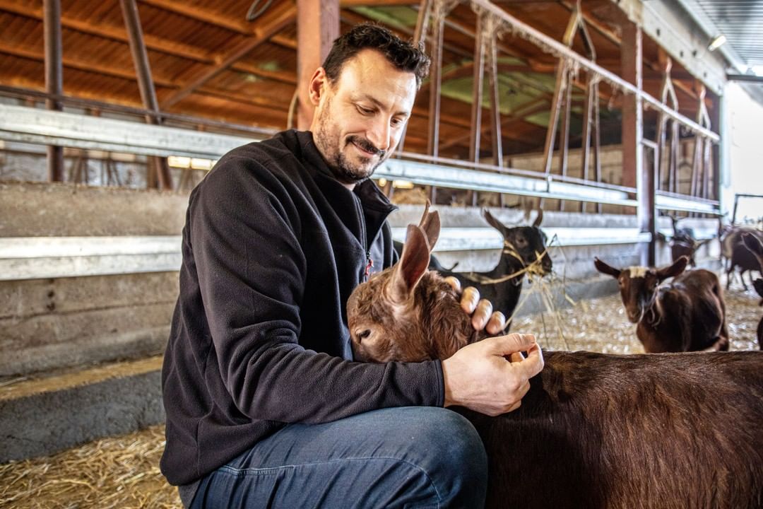 Cal Quiteria és una empresa familiar d'Almacelles, al SEGRIÀ 📌, que produeix tota mena de formatges 🧀 artesanals, seguint els processos tradicionals per a l'elaboració d'#AlimentsdeProp amb #SaborADNLleida 🦋💚🌍
 
ℹ️ <a href="/calquiteria/">Cal Quitèria | Formatges 🧀 artesans de Ponent</a> @SegriaTurisme
➡️ bit.ly/3CDT2rn