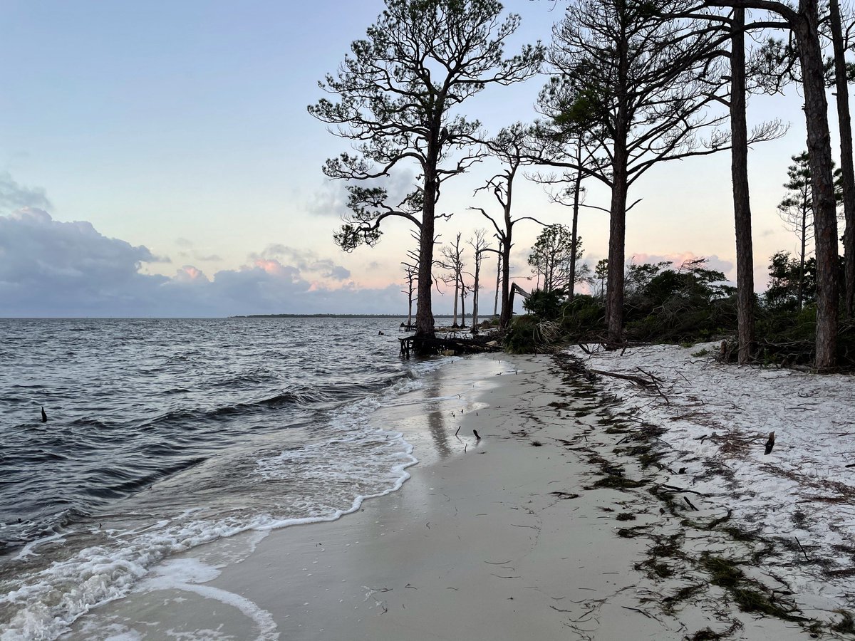 ECDNCA's tweet image. Today&apos;s blog post returns to the &quot;Public Lands and Power&quot; series with a thought-provoking piece by @michgoesoutside about &quot;pretty privilege&quot; in protecting public lands. #EnvComm sites.google.com/view/ecdnca/bl…