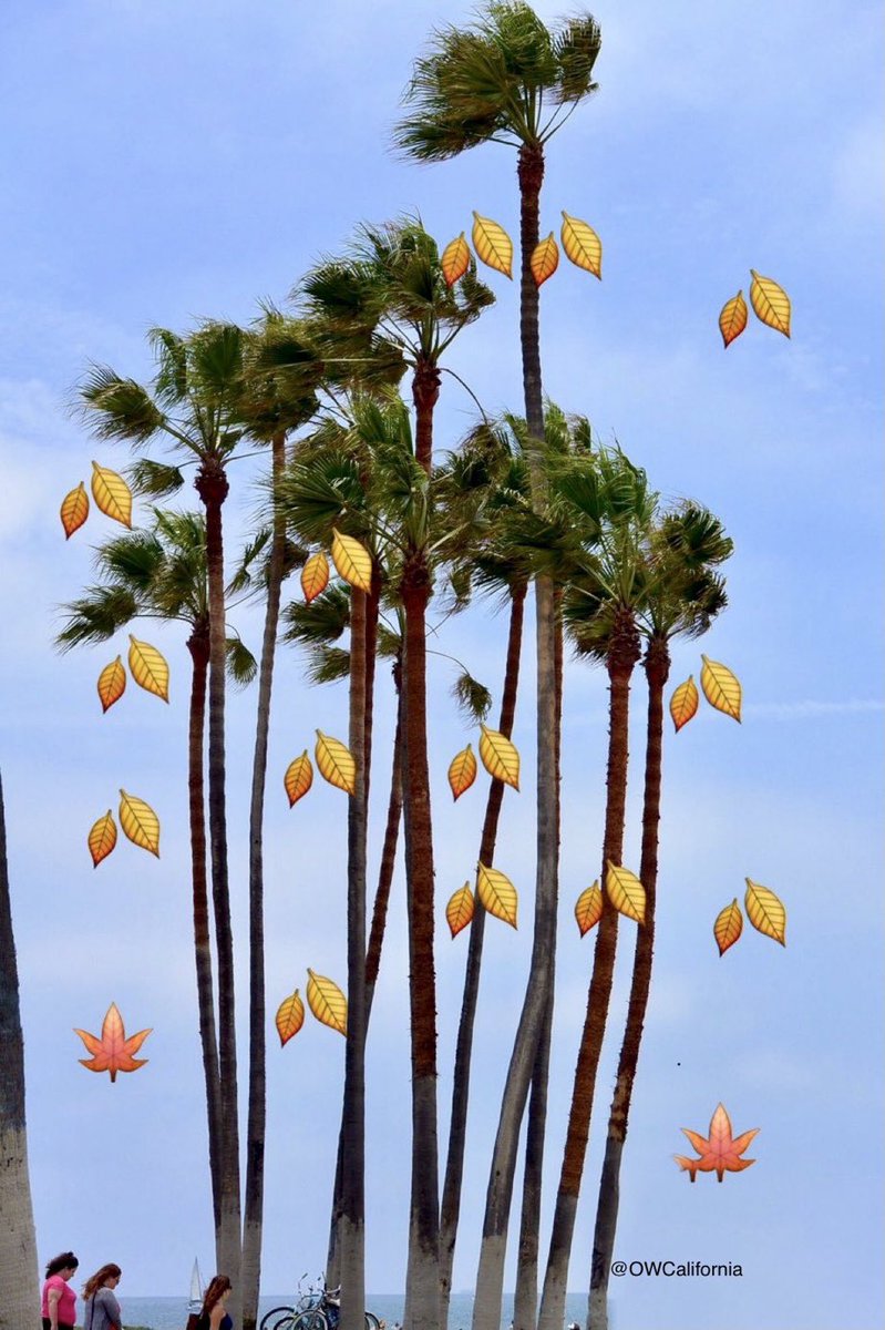 OWCalifornia's tweet photo. Californians be like... 

“Happy 1st Day of Fall” https://t.co/YYALvMYx0d