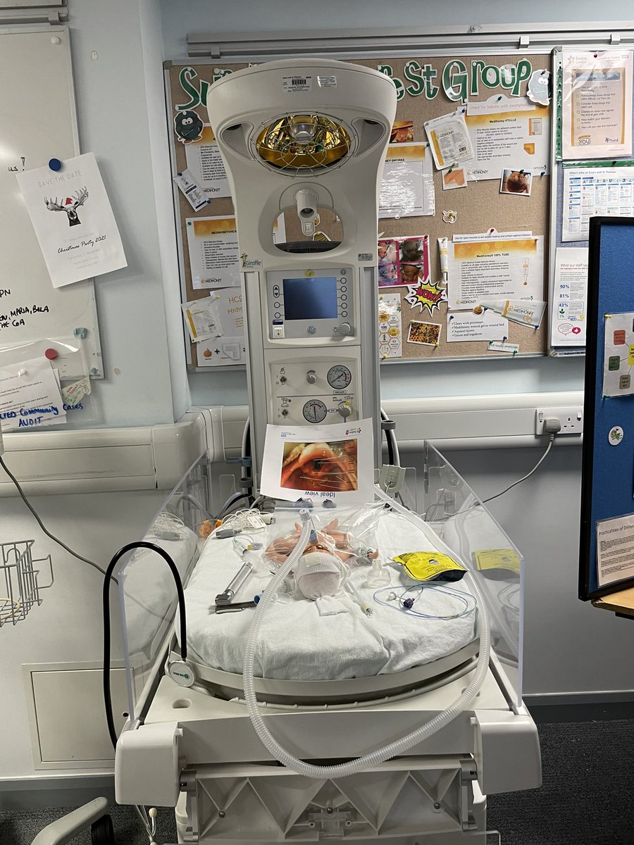 jane899's tweet photo. An excellent session for #pretermawareness at GSTT NICU @GSTTnhs https://t.co/Uco6MFMivC