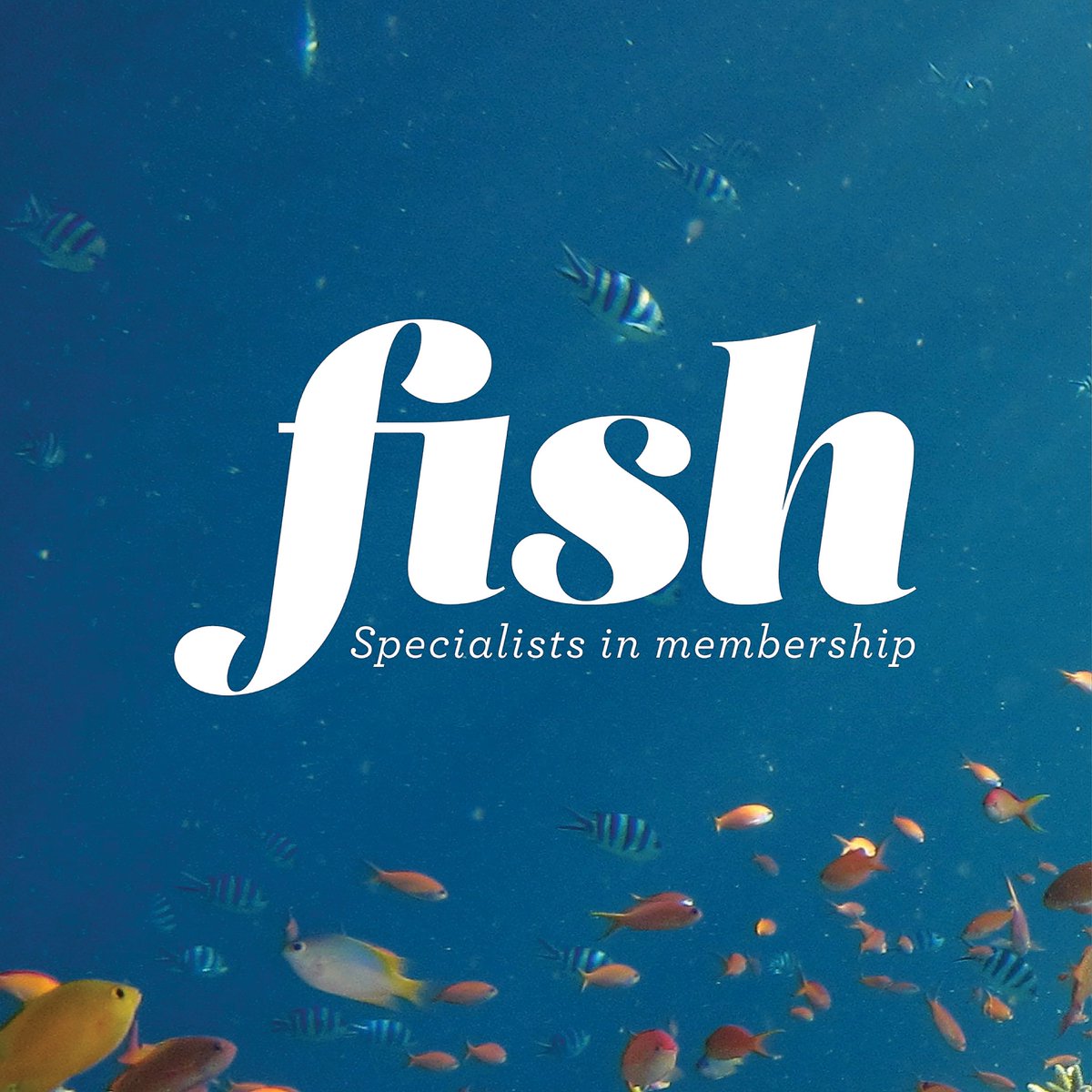 FishAgency's tweet photo. New whitepaper! “The Third Sector reset: A complete guide to thriving in a post-Covid world."
We researched how the pandemic has affected the state membership and voluntary organisations as a nation https://t.co/b3hVPEALIb
#charity #membership #pandemic #whitepaper https://t.co/T4asX9NfgH