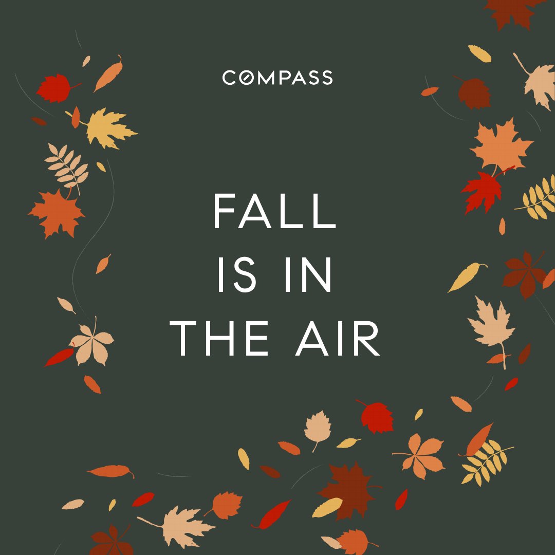 JennD's tweet image. Happy fall, y'all!