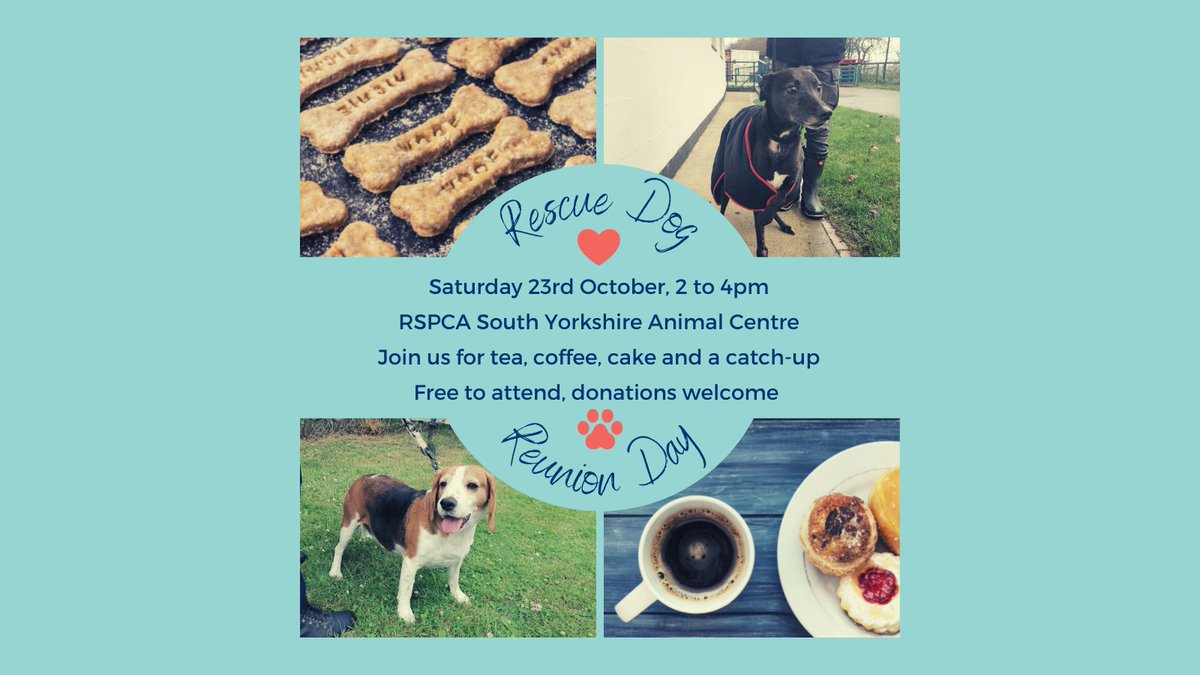 Join us at our animal centre with your RSPCA Doncaster, Rotherham and District Branch rescue dogs.

It will be a great chance for both you and your dog to socialise plus there will be dog treats and refreshments available too.

#doncaster #rotherham #rspcadrb