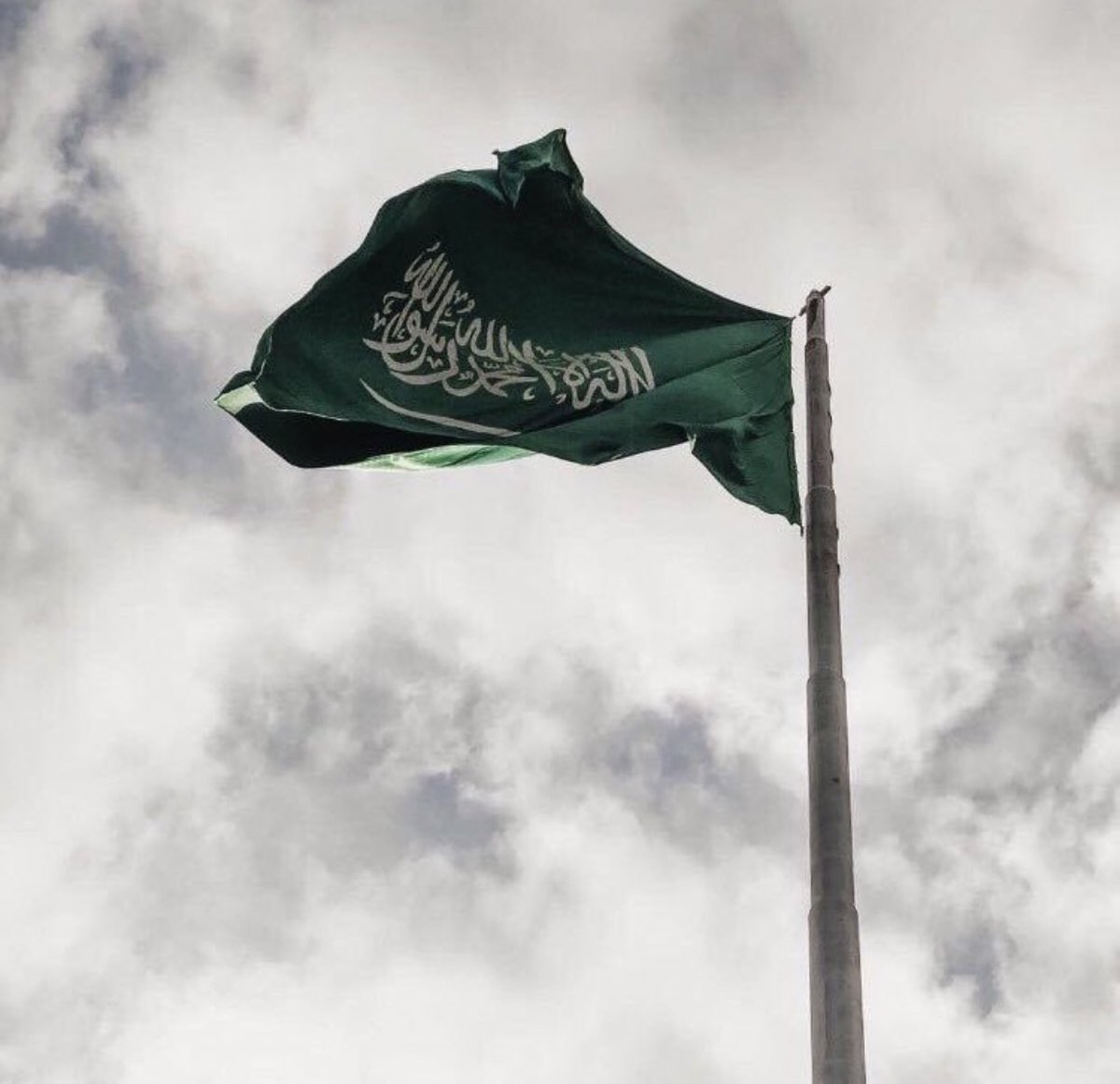 ☂️
.
.
ثرى الارض هاذي وردٍ من العبير يفوح
ومن حقي ازعل لو يقولون : عنه تراب !
- -