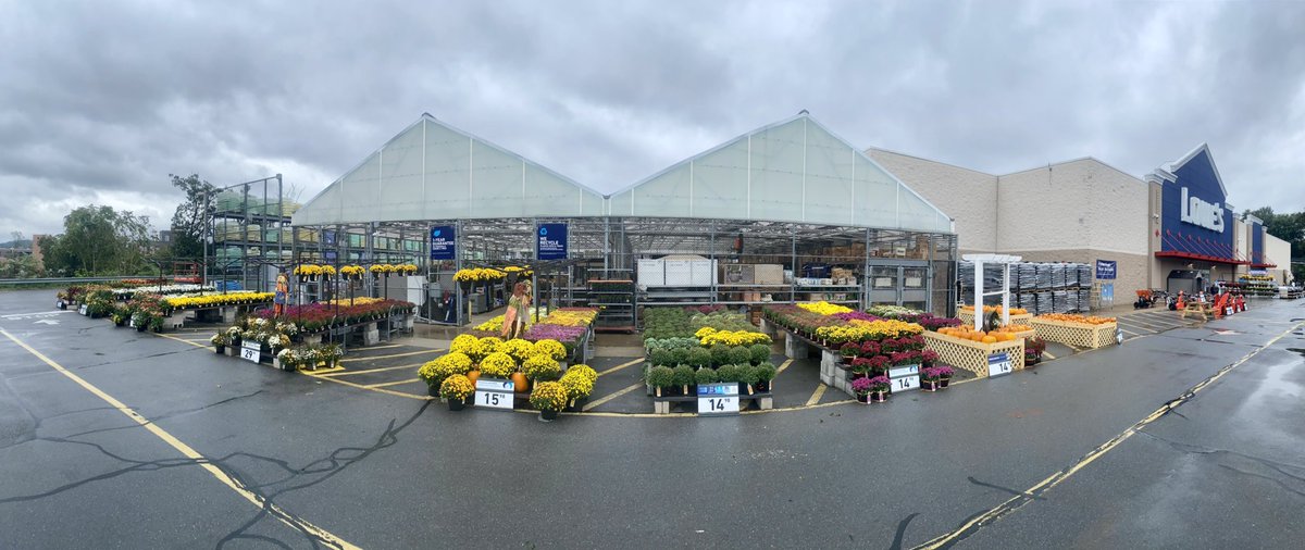 Jill Guth tweet media