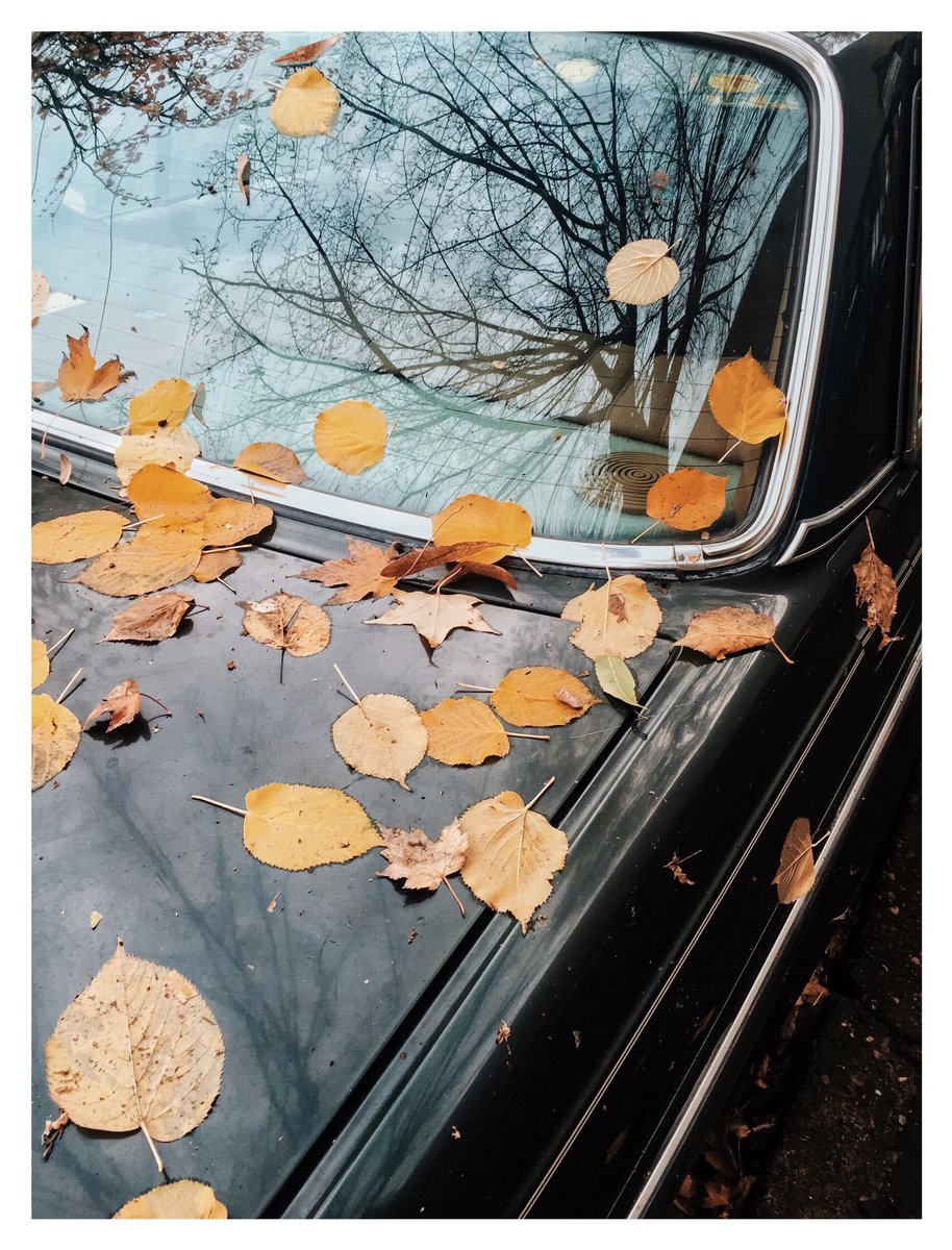 ioegreer's tweet photo. 🍂 https://t.co/hieSpFNP9R