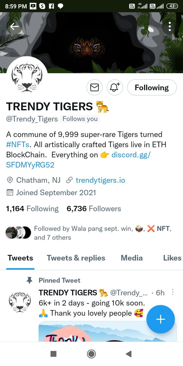 ℕ𝔽𝕋 🅸🅽SIGHTS tweet media