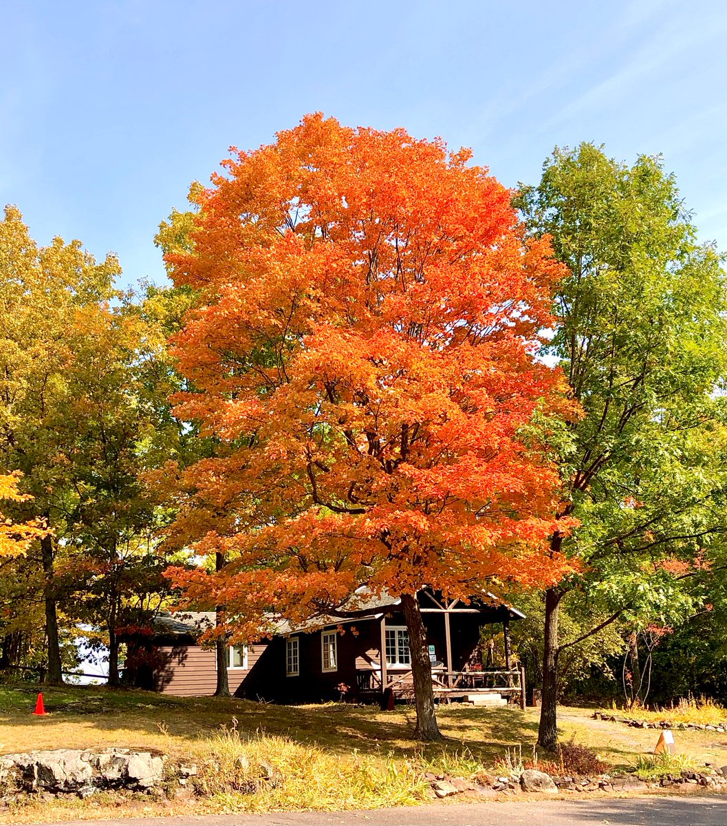 10xdigitalinc's tweet photo. Happy First Day of Fall! 🍂 🍁

Pictures courtesy of one of our New England-based 10exrs (Thanks, @TracyLRing!) With team members around the globe, we love sharing the best parts of where we all live!

#FirstDayofFall https://t.co/ysd40ZKaMe