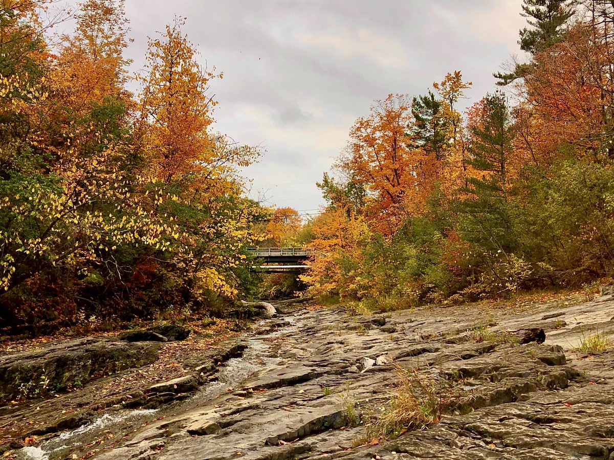 10x digital (@10xdigitalinc) on Twitter photo Happy First Day of Fall! 🍂 🍁
Pictures courtesy of one of our New England-based 10exrs (Thanks, <a href="/TracyLRing/">Tracy Ring</a>!) With team members around the globe, we love sharing the best parts of where we all live!
#FirstDayofFall Happy First Day of Fall! 🍂 🍁
Pictures courtesy of one of our New England-based 10exrs (Thanks, <a href="/TracyLRing/">Tracy Ring</a>!) With team members around the globe, we love sharing the best parts of where we all live!
#FirstDayofFall