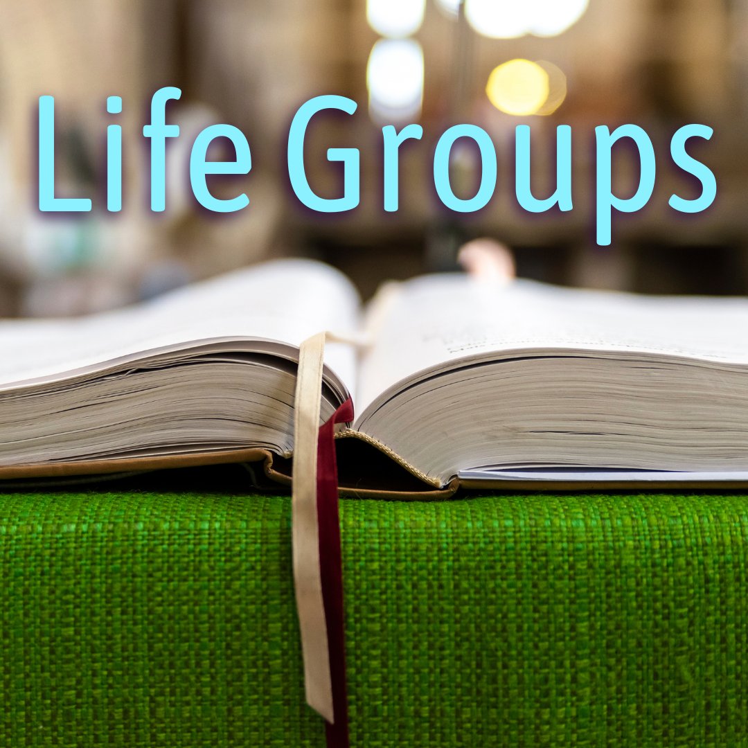 Elevation has 3 life groups.
Mondays: 1st and 3rd 7:30-8:30 They meet at a Ben Lomond home. This group is for couples and a few more are welcome.
Thursdays: 7:30-9 They meet via zoom. All are welcome to join.
Thursdays 6:30. They meet at Daybreak camp. This is a men's group.