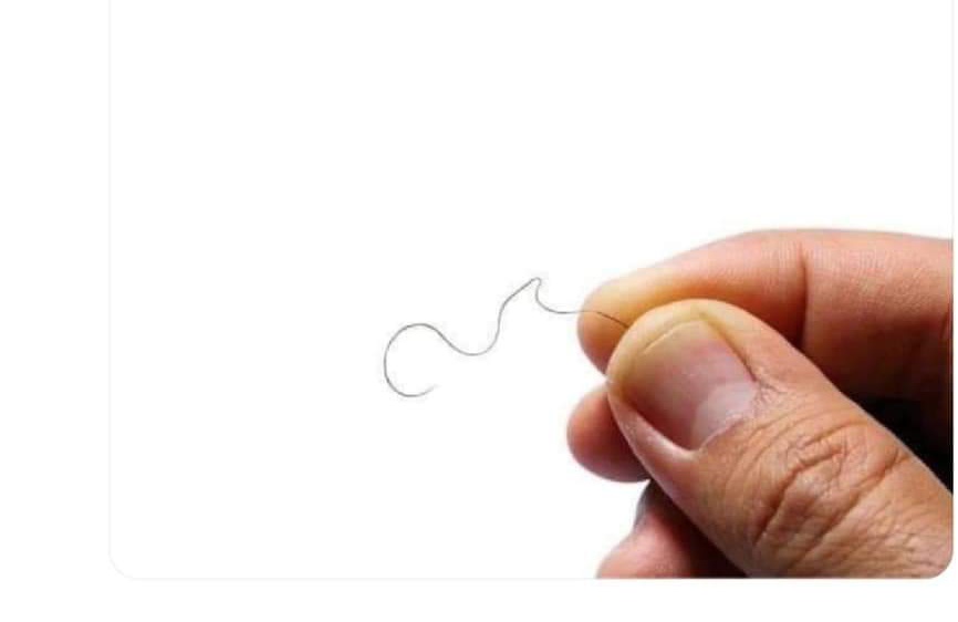 Crush ki nazro mai meri izzat.