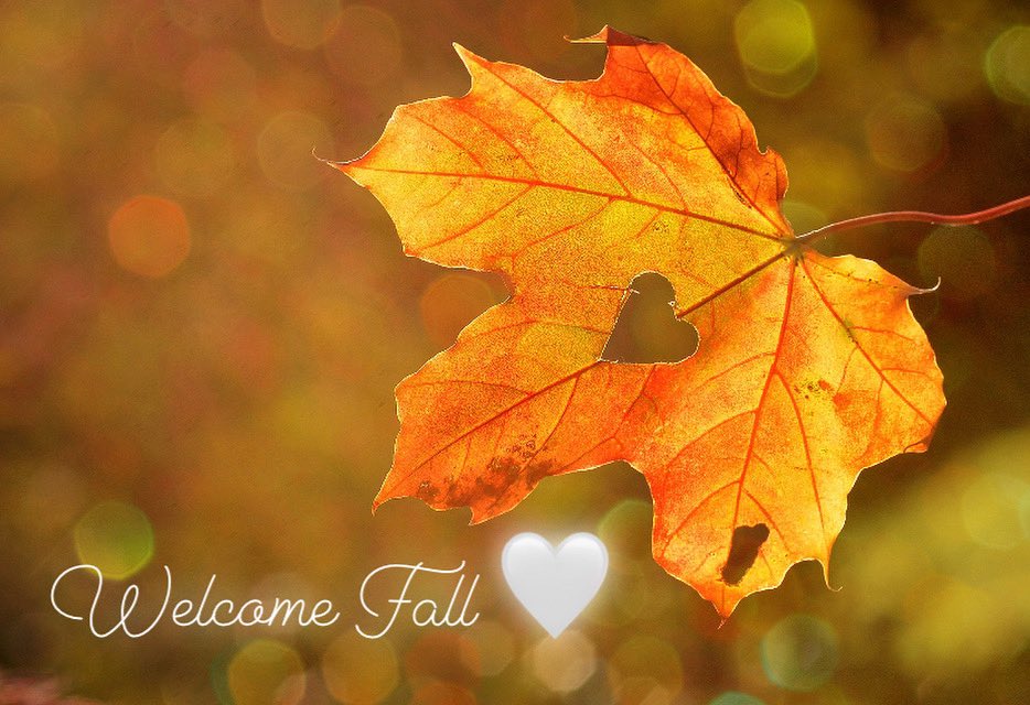 MortgagePace's tweet photo. Hoodies, hot tea, boots, jeans, crisp air, flushed cheeks, fog, rain, cooler weather….Welcome Fall 🤍. #ldnont https://t.co/1WpIQaPXez