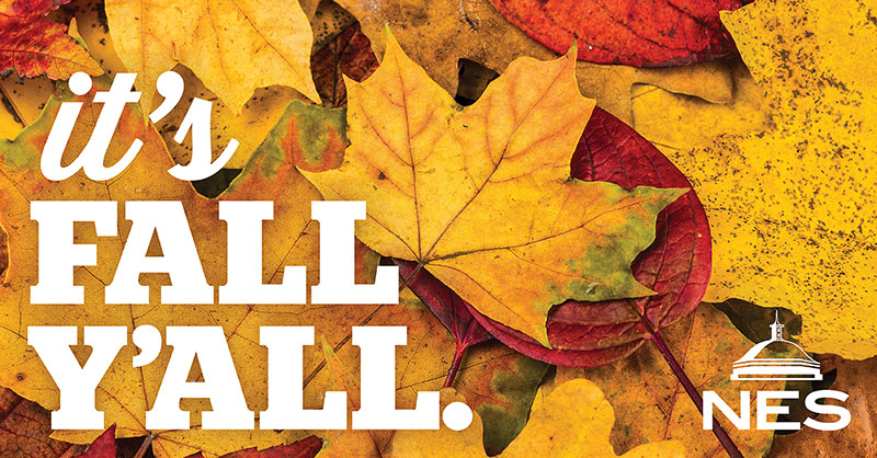 Nashville Electric Service tweet media