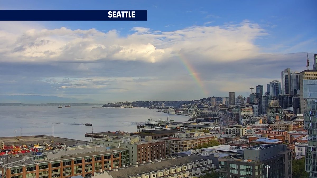 M.J. McDermott tweet media