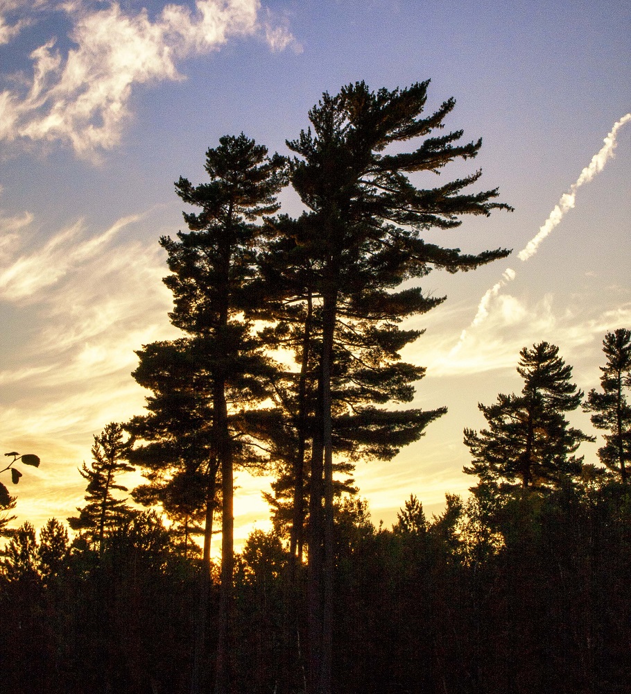 Ontario Parks tweet media