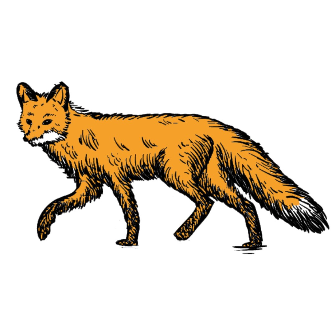 About us 🦊

We started in 2018 with a mission to bring our sustainable, vegan values to the fashion market.

Our ethos of treating all life with respect is reflected in all of our products. We aim to ensure that none of our merch harms any animals or the environment 💚