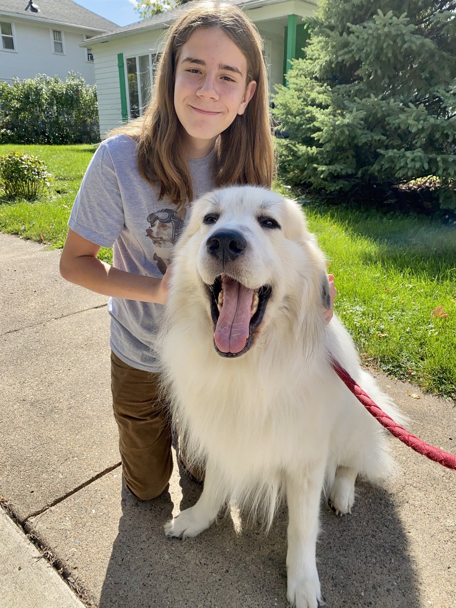 I’ve Pet That Dog tweet media