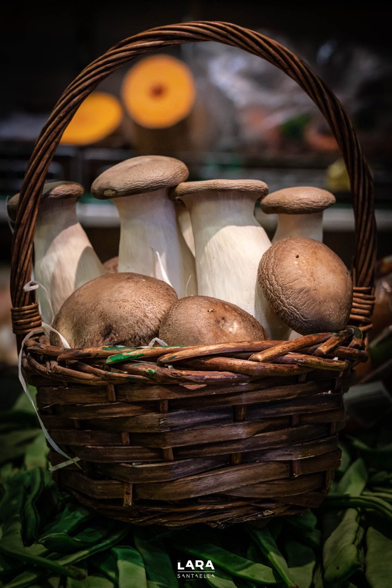 MsGuidedButSoft's tweet image. All of these #photos are available for sale at my store on prints.larasantaella.es. No #NFTs, just beautiful #prints delivered at your own home. 

As I’m broke and I need to find another place to live, any retweet or sale will be greatly appreciated.