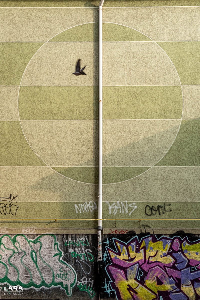 MsGuidedButSoft's tweet image. All of these #photos are available for sale at my store on prints.larasantaella.es. No #NFTs, just beautiful #prints delivered at your own home. 

As I’m broke and I need to find another place to live, any retweet or sale will be greatly appreciated.