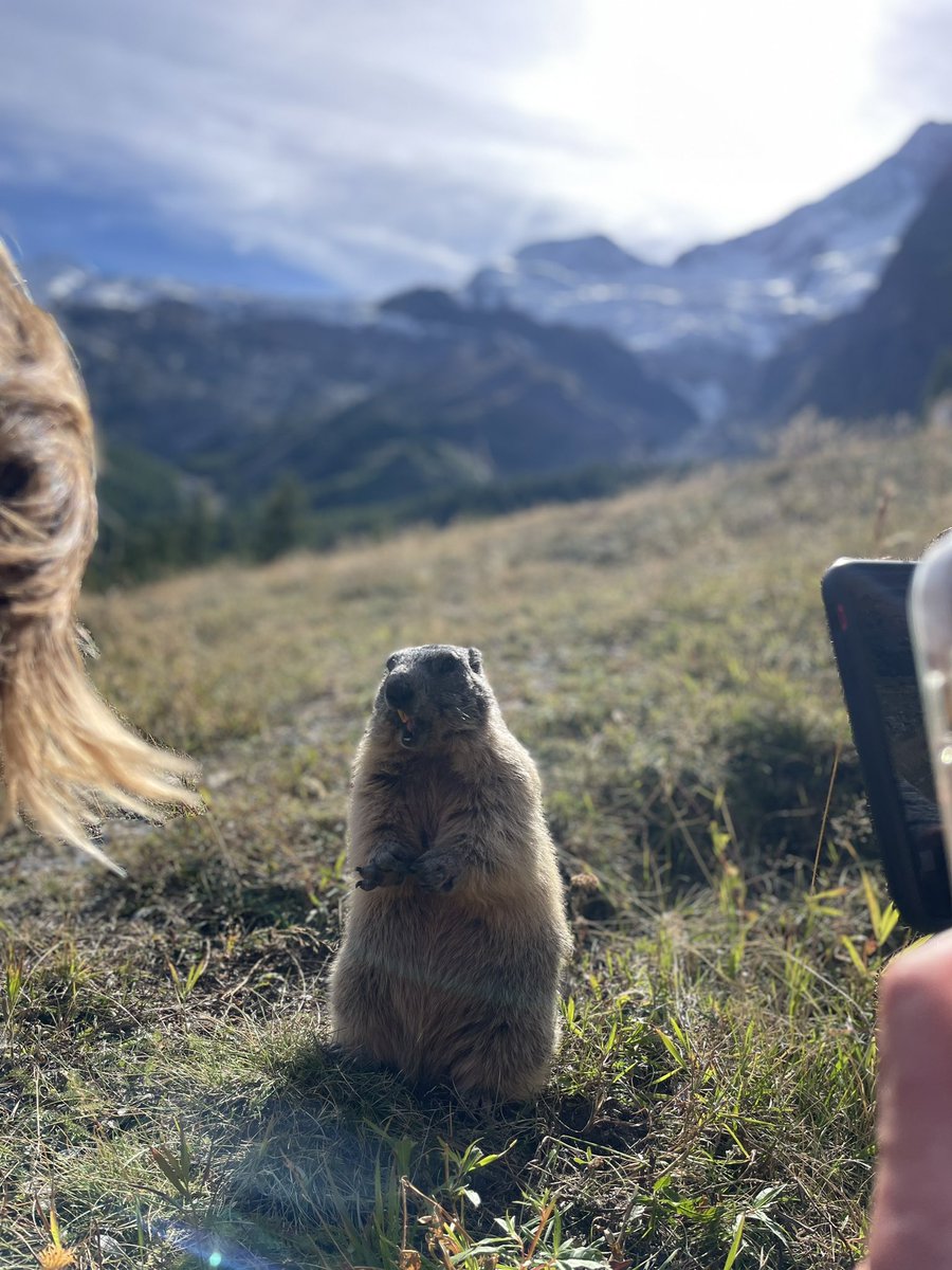 Nouvelle saison -> nouvelles planches de course 🚀
En attendant la première Coupe du Monde en novembre : entraînements et marmottes en Suisse 🐭
